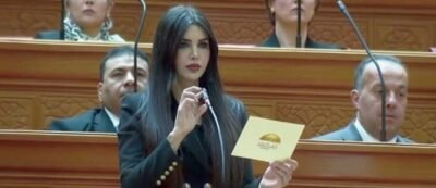 النائبة ريهام أبو الحسن