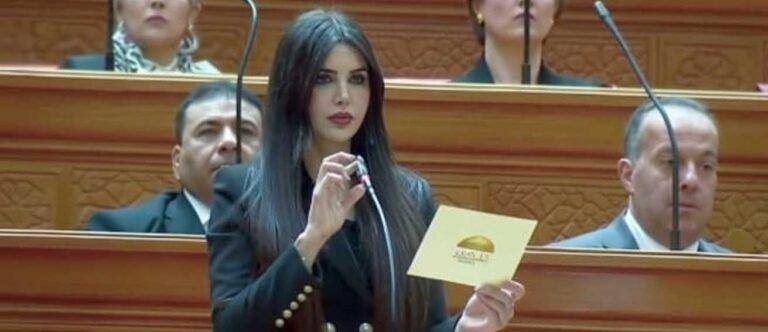 النائبة ريهام أبو الحسن