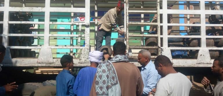 أسطوانات البوتاجاز