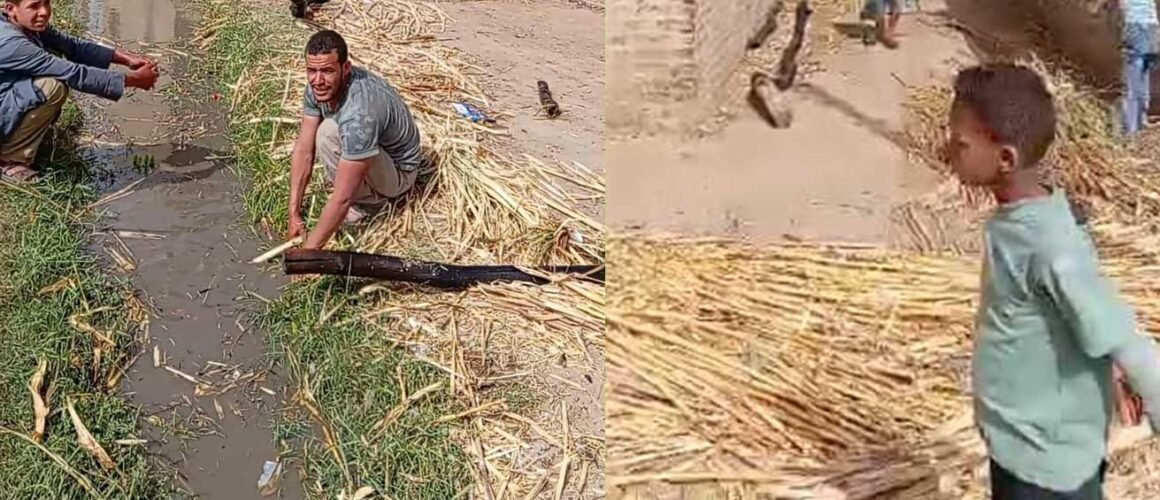 حريق يلتهم منازل في أبودياب بدشنا