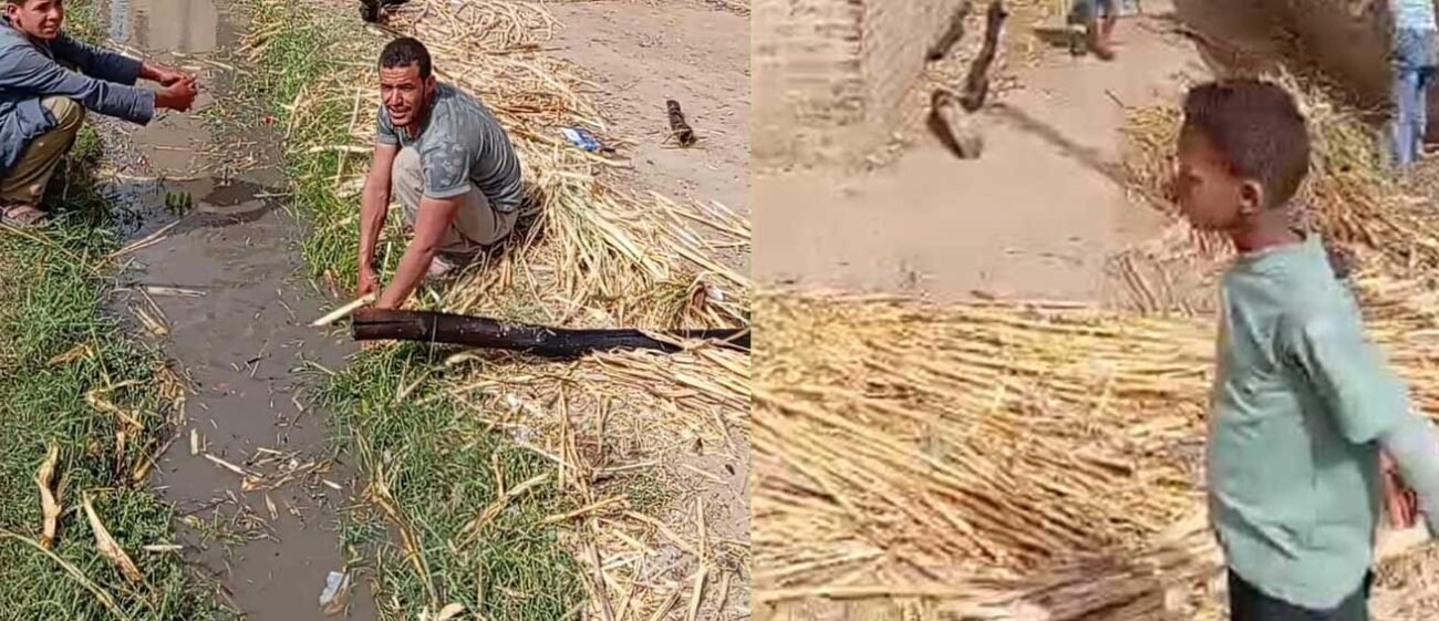 حريق يلتهم منازل في أبودياب بدشنا