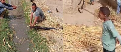 حريق يلتهم منازل في أبودياب بدشنا