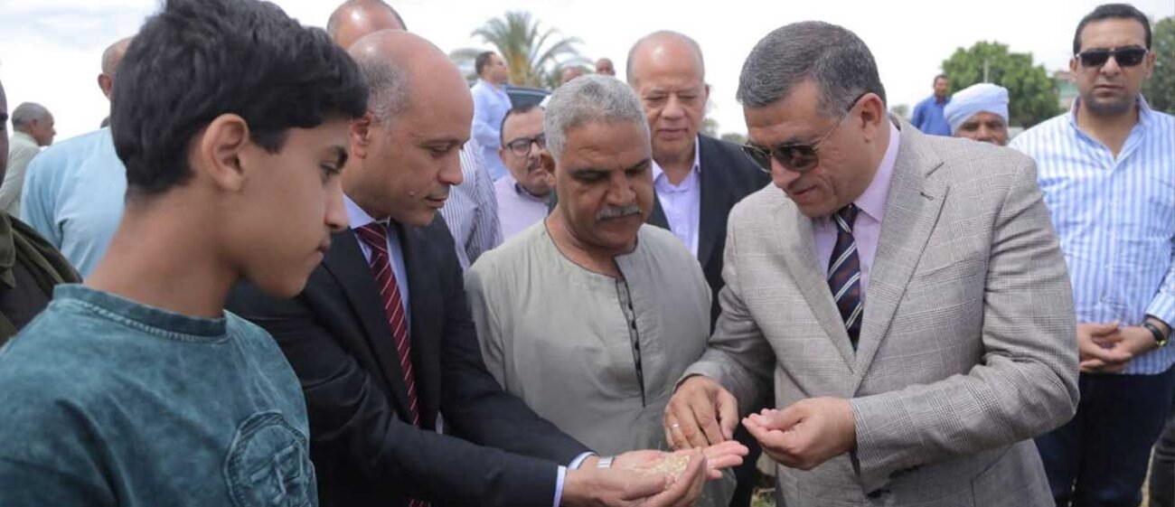 محافظ قنا يطلق إشارة بدء موسم حصاد القمح