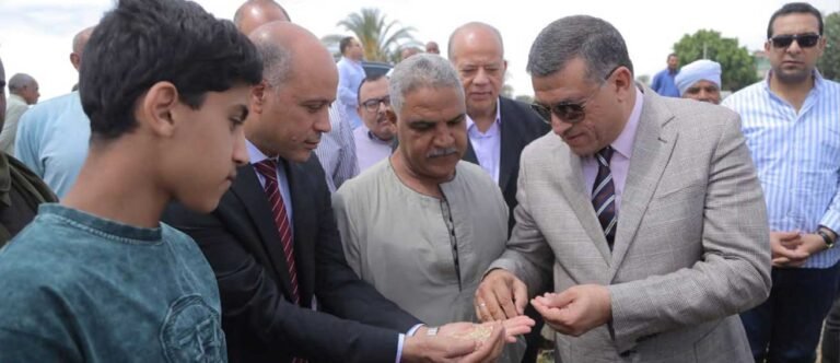 محافظ قنا يطلق إشارة بدء موسم حصاد القمح