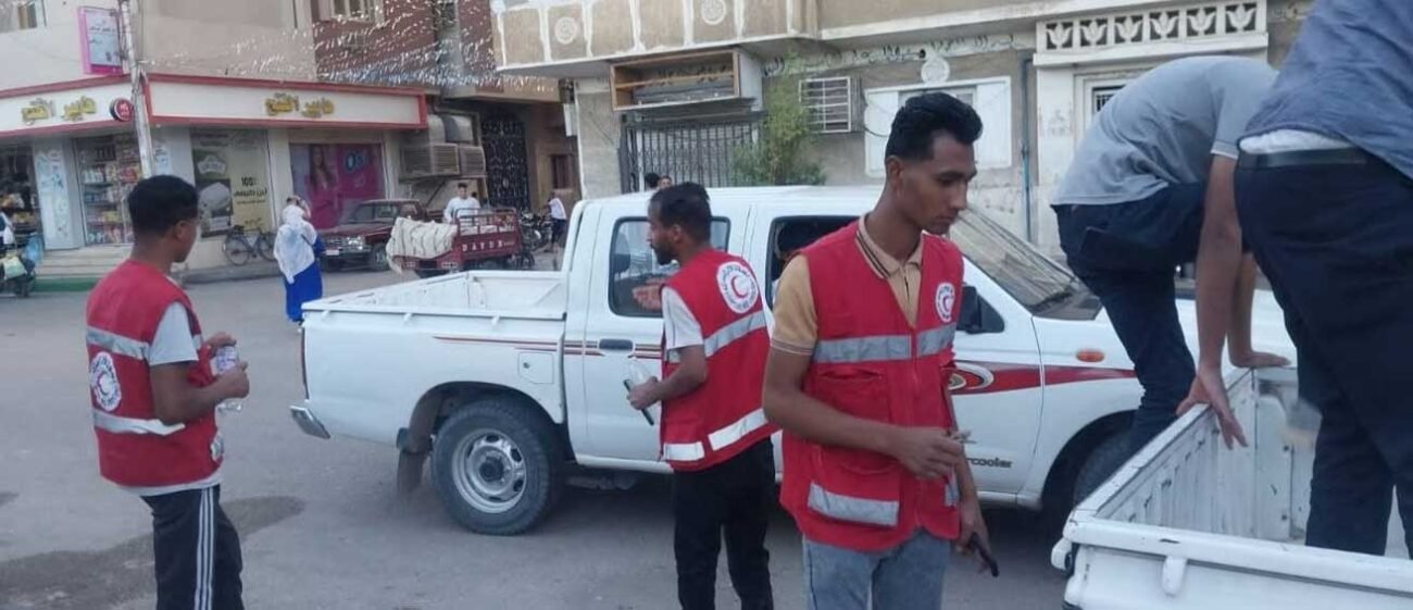 تحصين الكلاب الضالة بمدينة قنا الجديدة