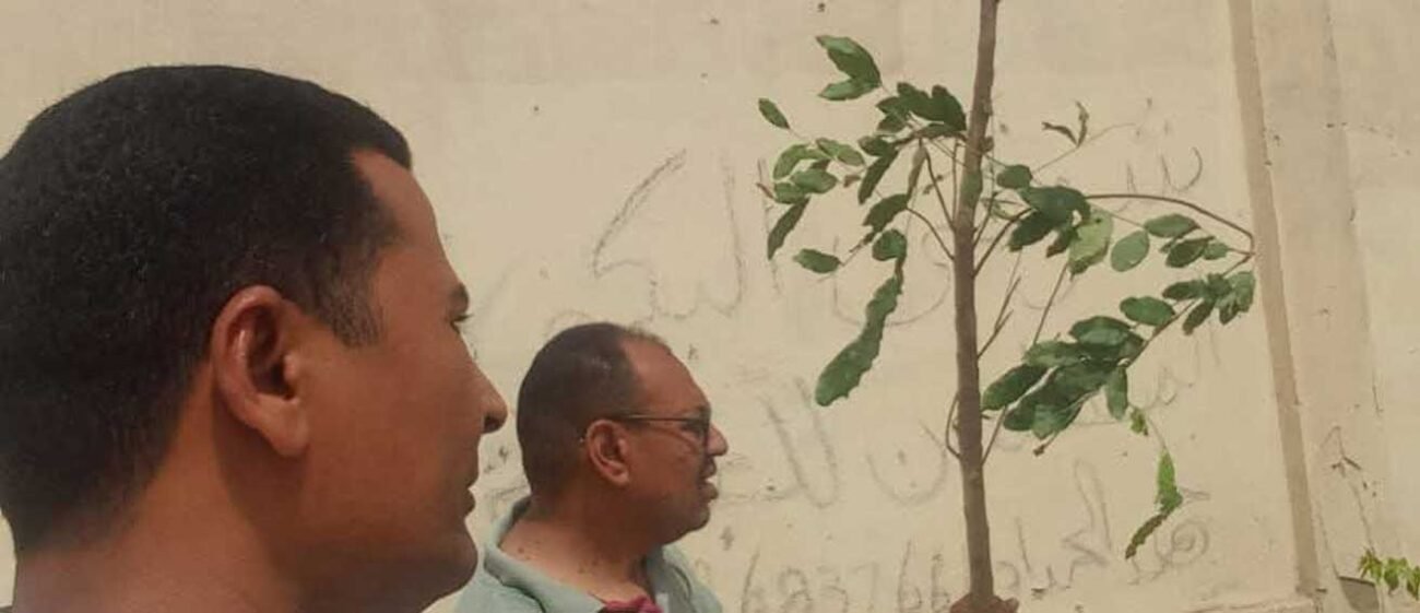 مبادرة 100 مليون شجرة بقرية هو