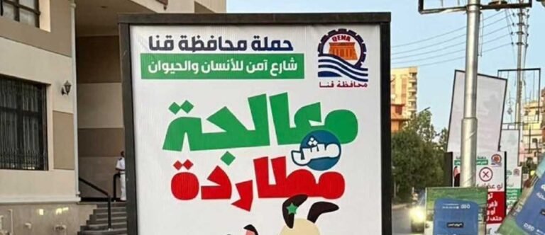 الحملة