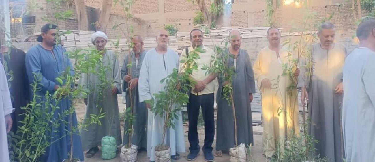 إزرع شجرة