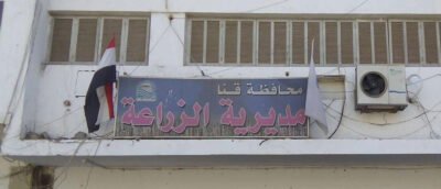 زراعة قنا