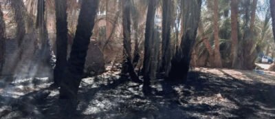 الحريق
