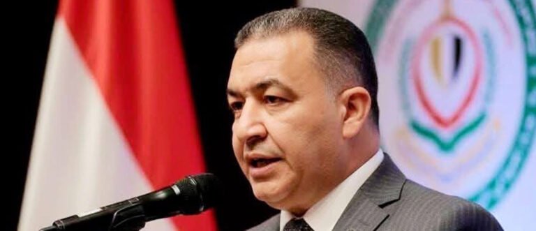 النائب محمود المنوفي